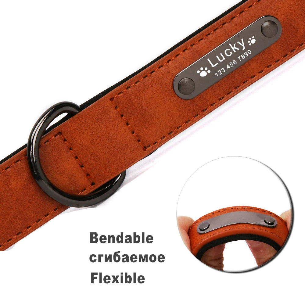 Personalized Luxury Collar