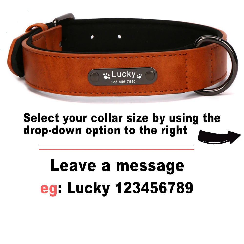 Personalized Luxury Collar