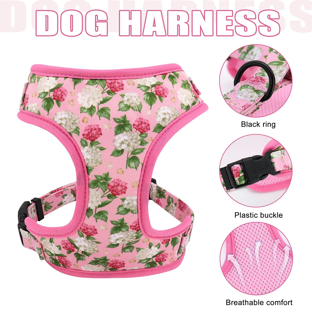 3pcs/Personalized Set