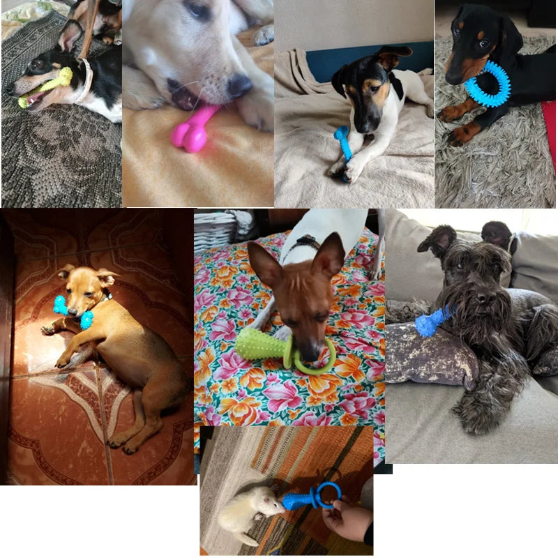 Chew toy