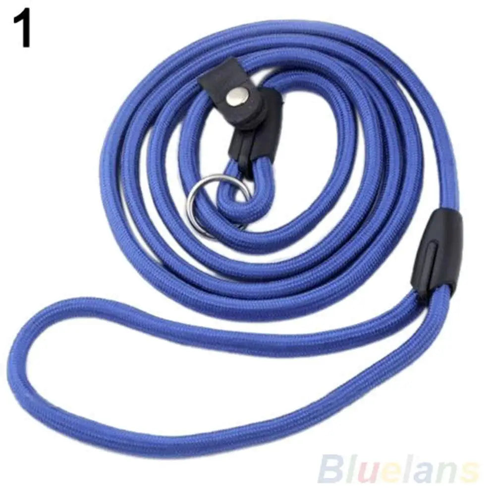 Training Leash