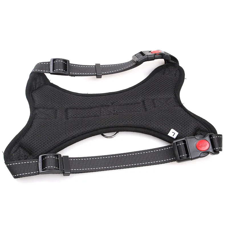 Heavy Harness