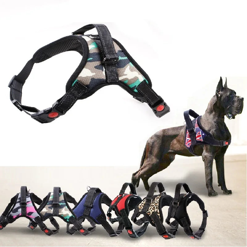 Heavy Harness