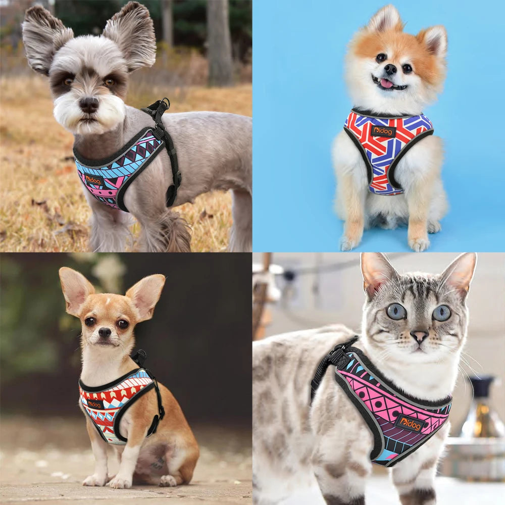Reflective Harness