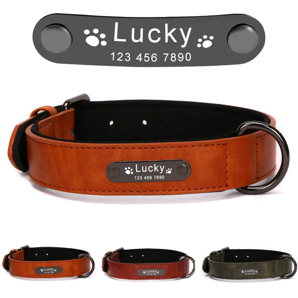 Personalized Luxury Collar