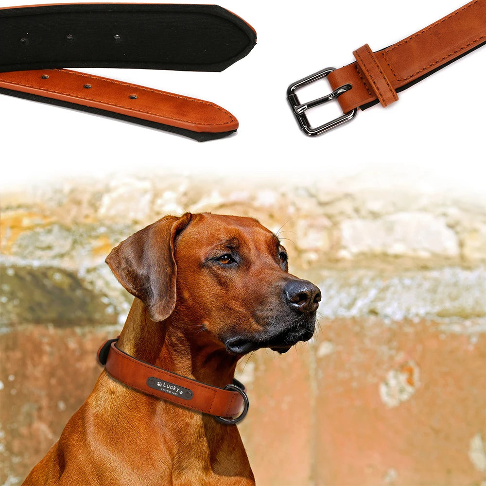 Personalized Luxury Collar