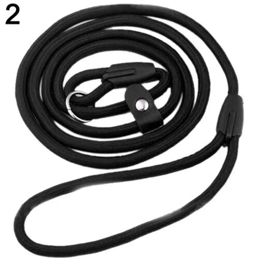 Training Leash