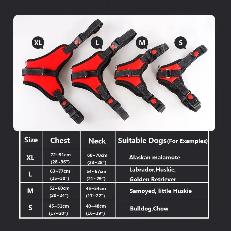Heavy Harness