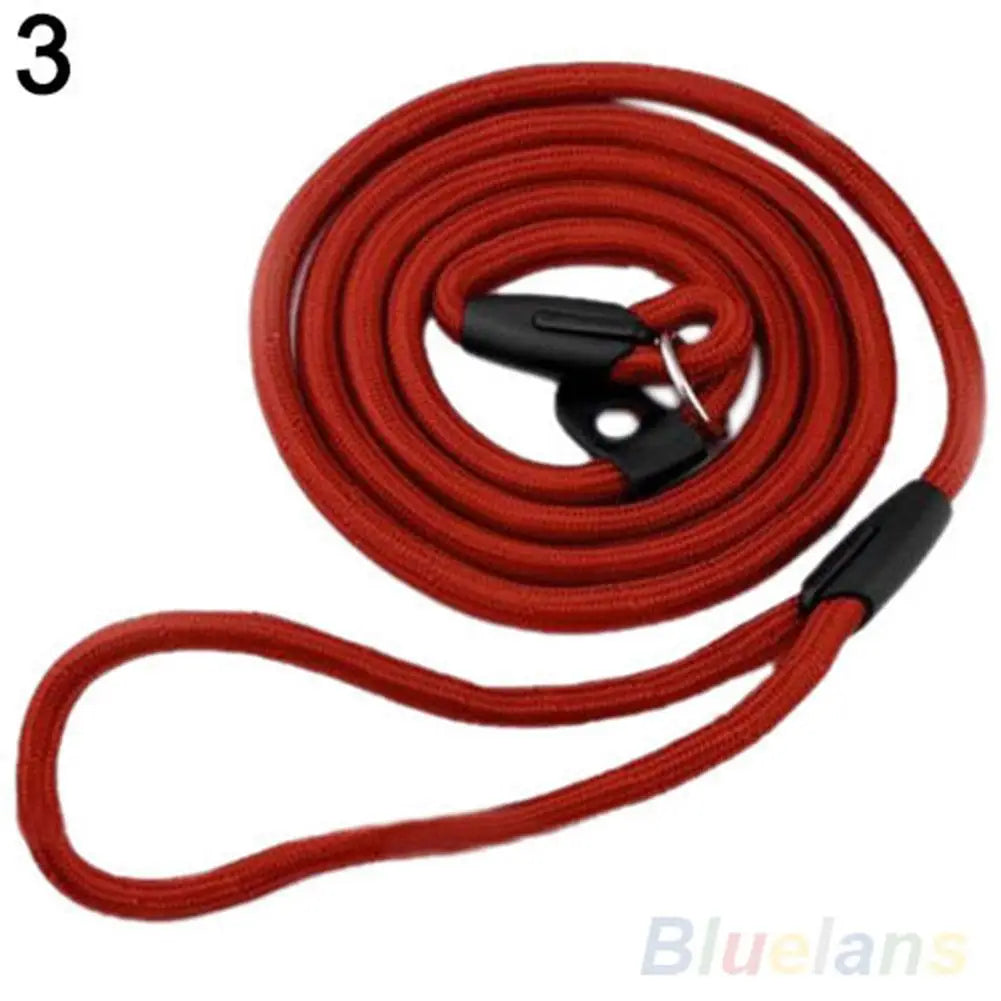 Training Leash