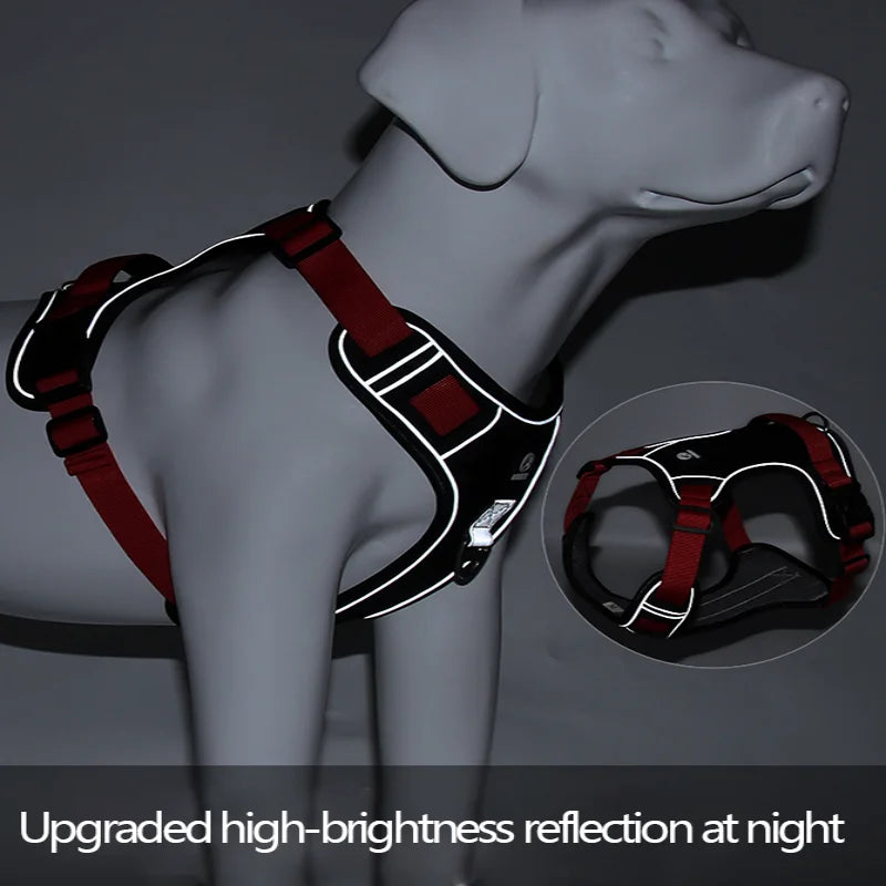 Puppy Harness