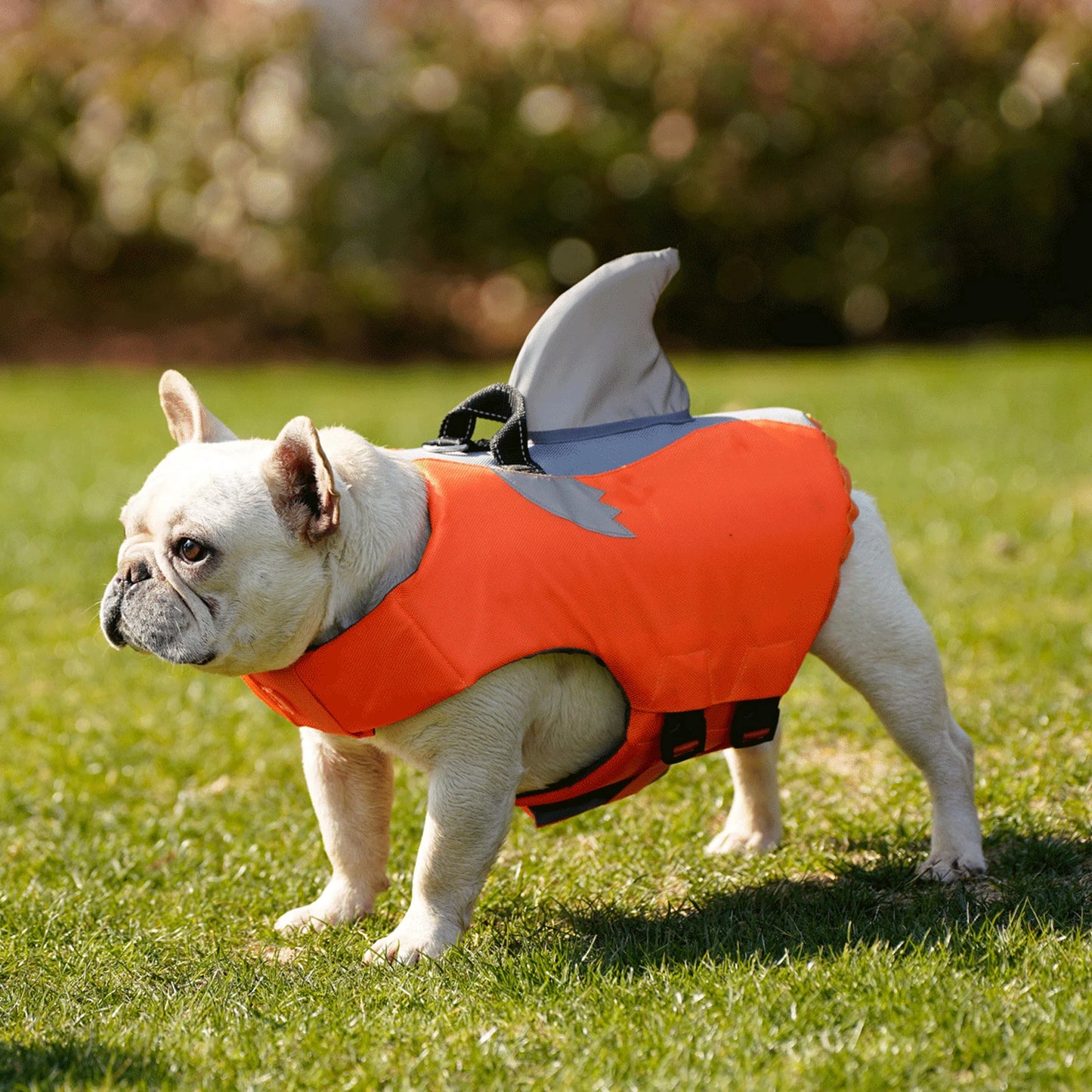 Sharko