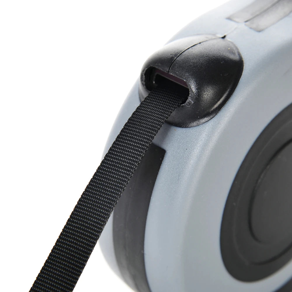 Nylon Dog Leash