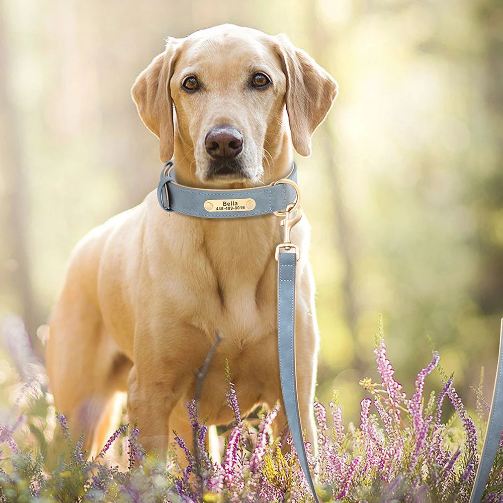 Leather Collar Leash