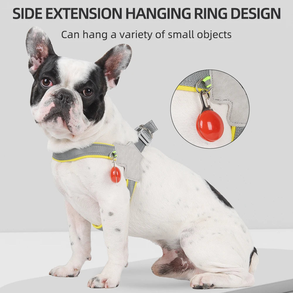 Reflective Harness