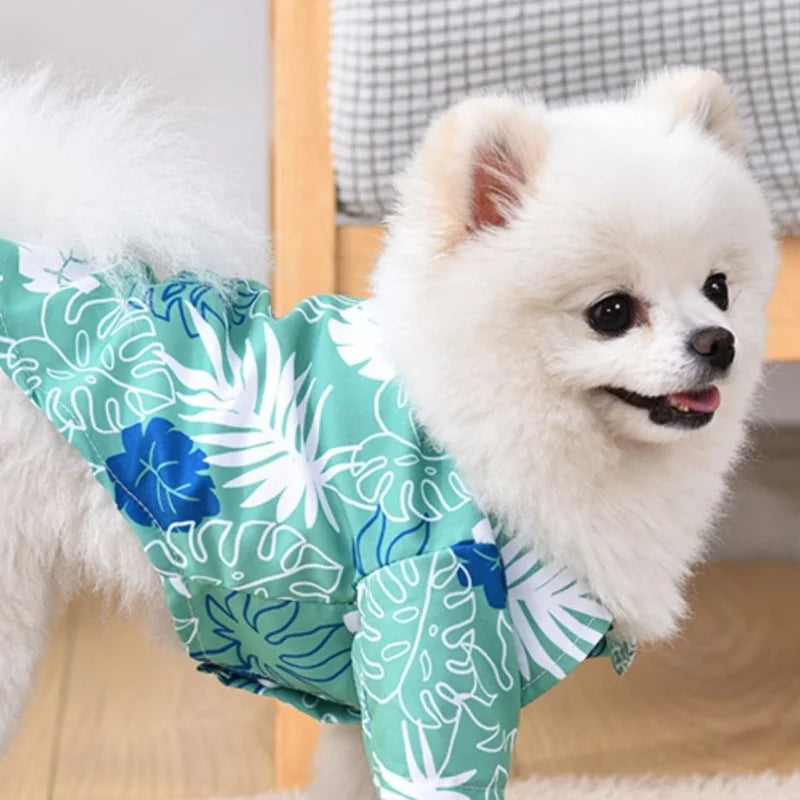 Hawaiian shirt