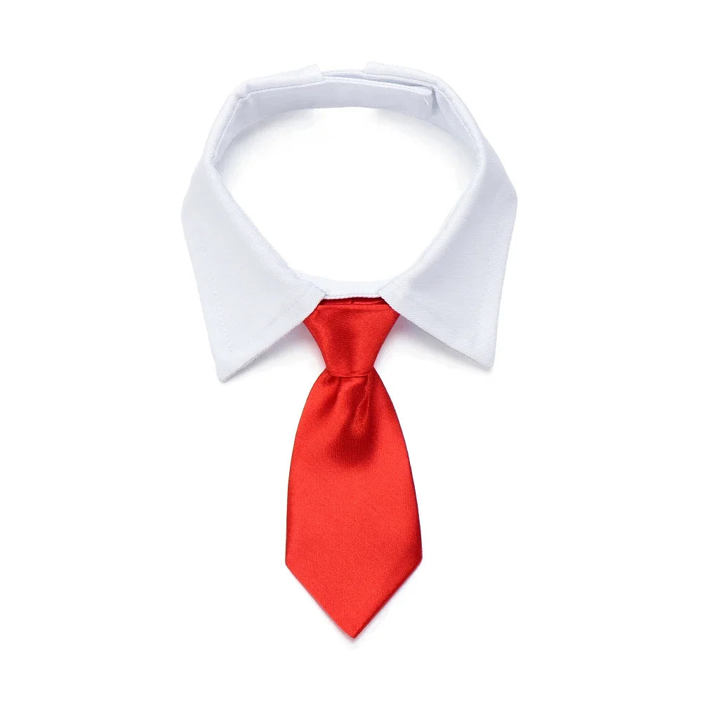 Pet Tie