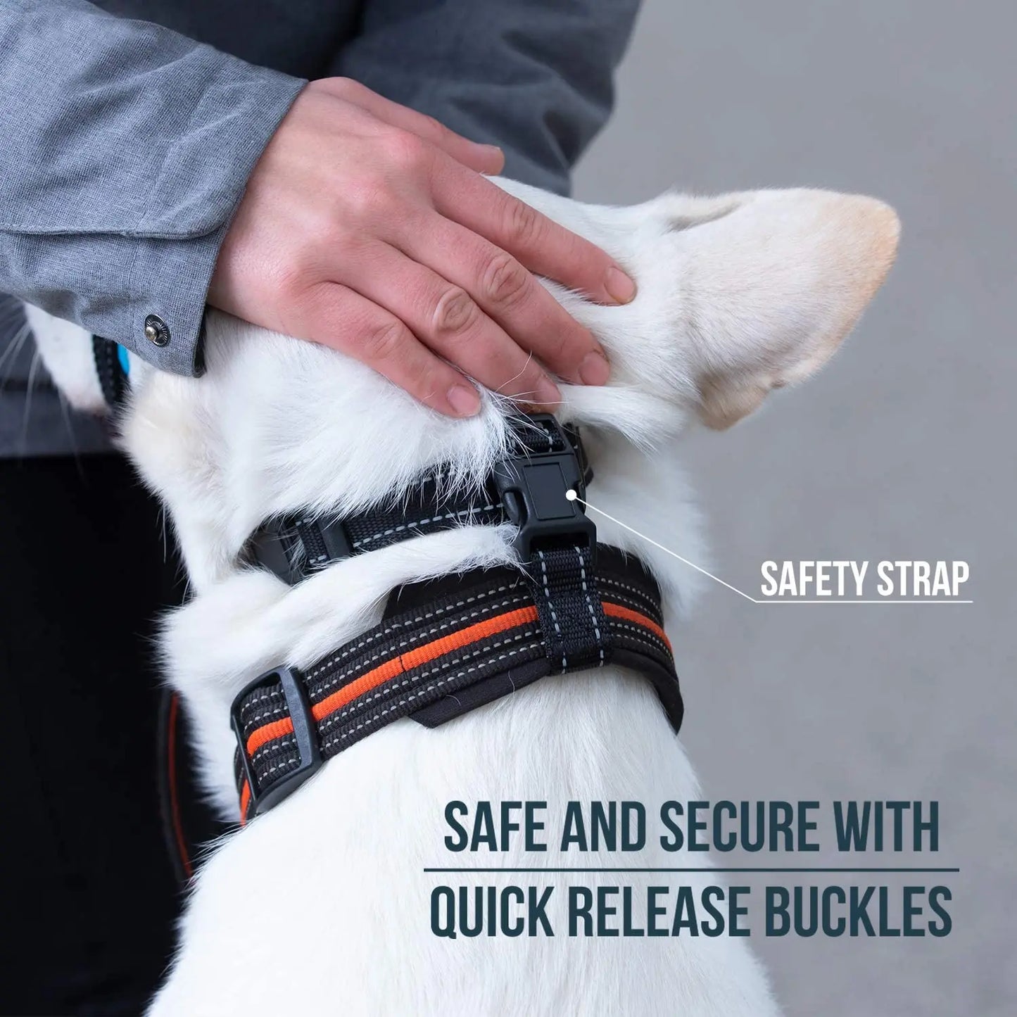 Dog Mouth Muzzles