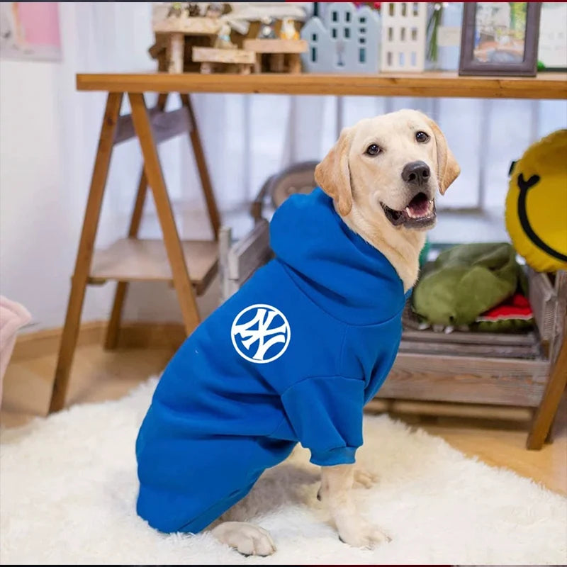 Autumn Sweatshirt