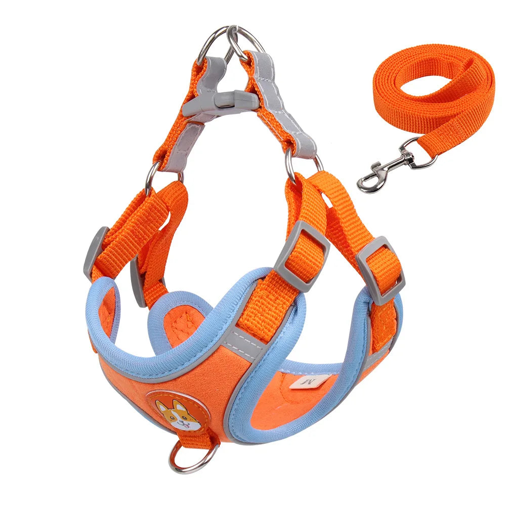 Harnessio