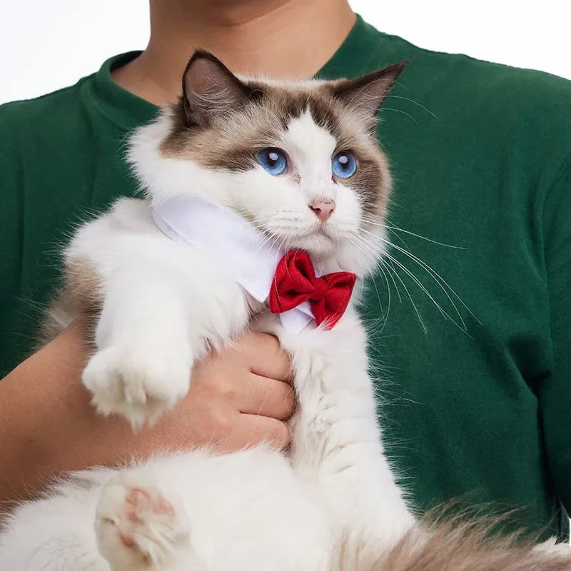 Pet Tie