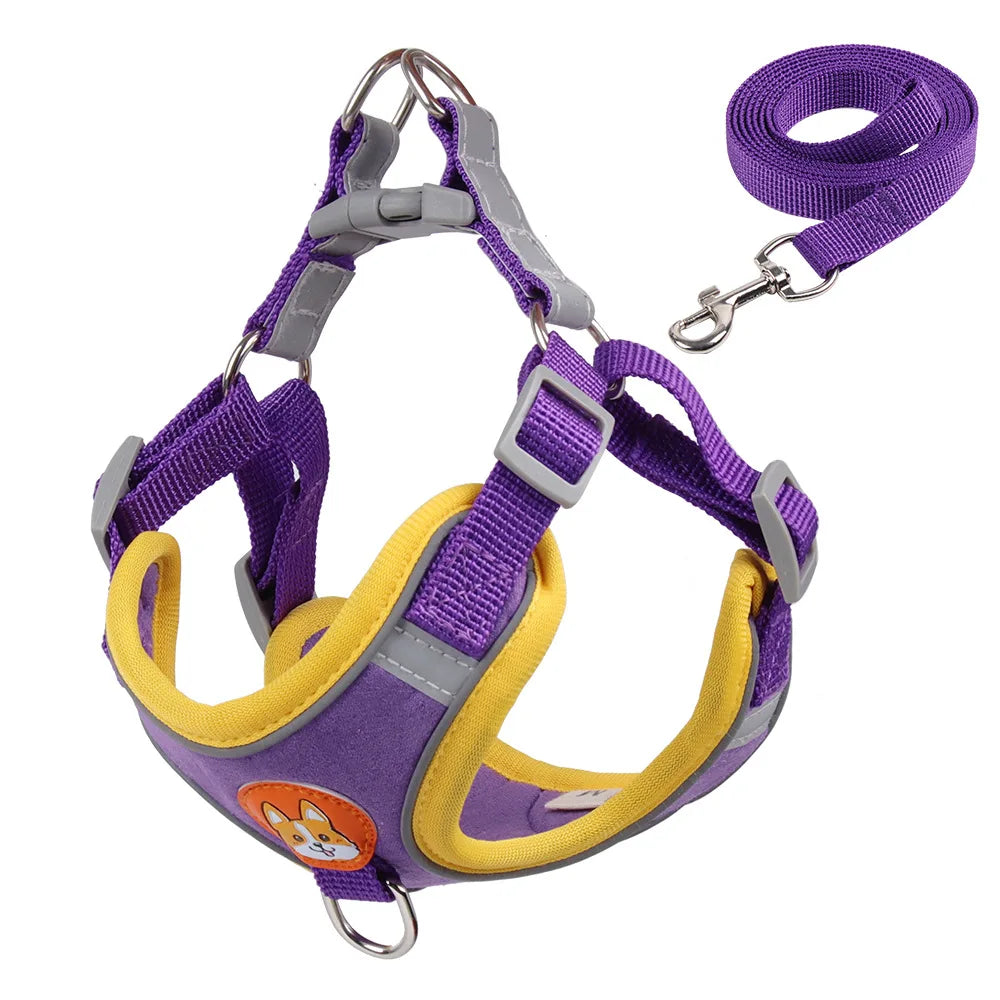 Harnessio