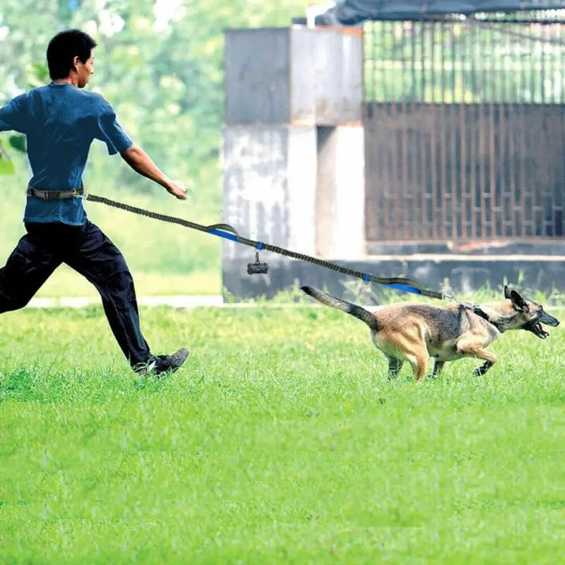 Running Belt