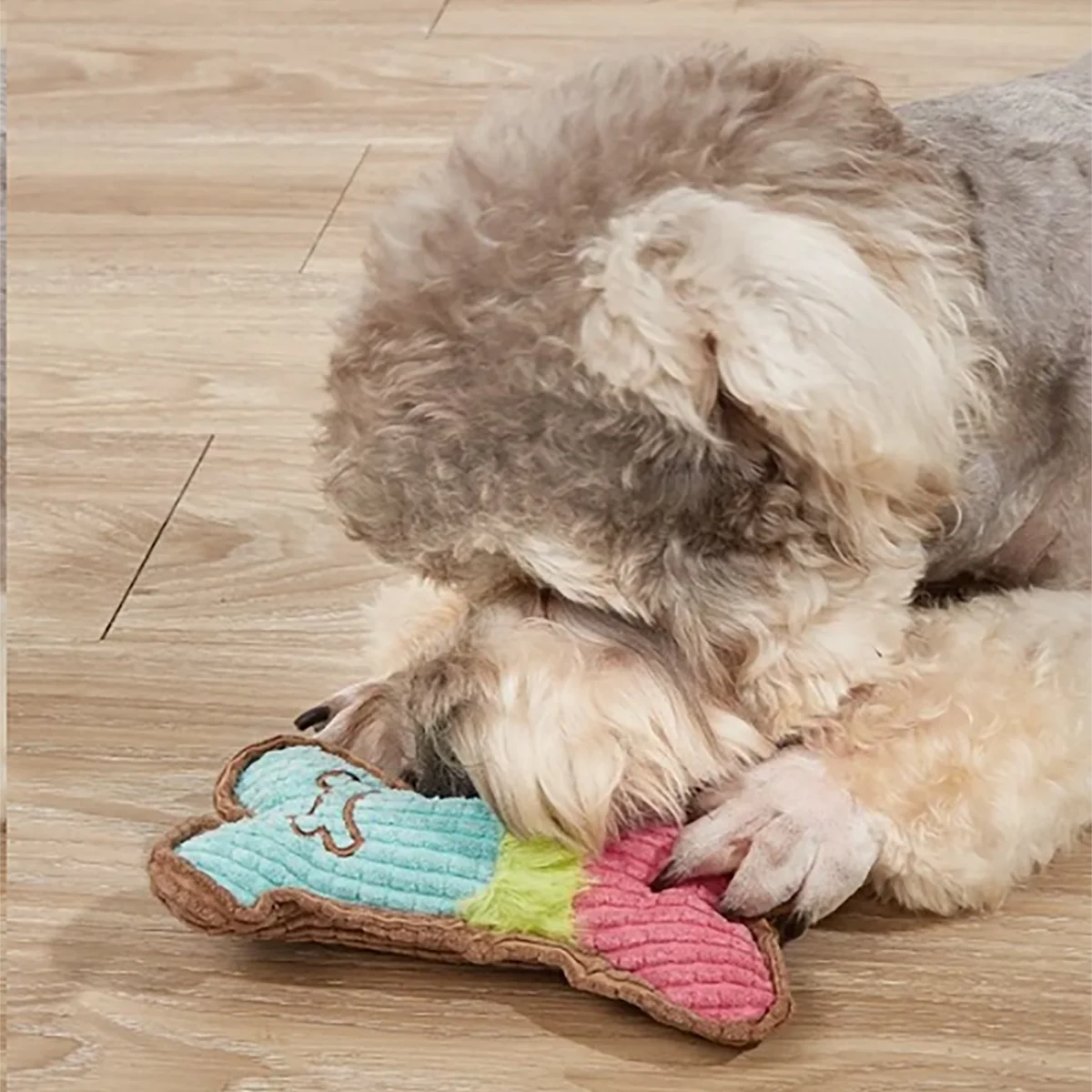 Squeaky Bones