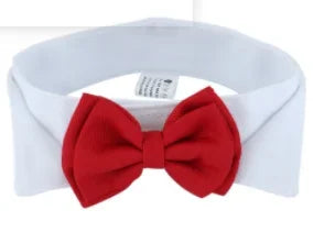 Pet Tie