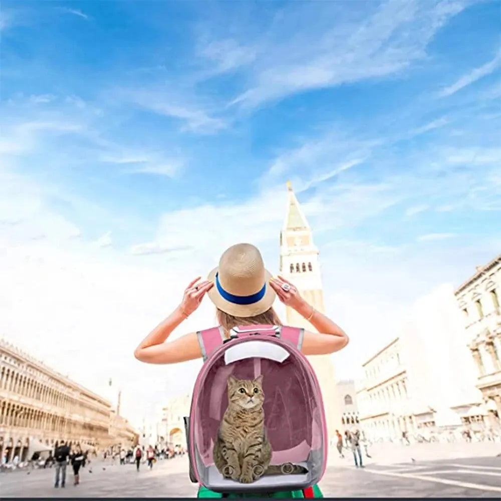 Transparent Backpack