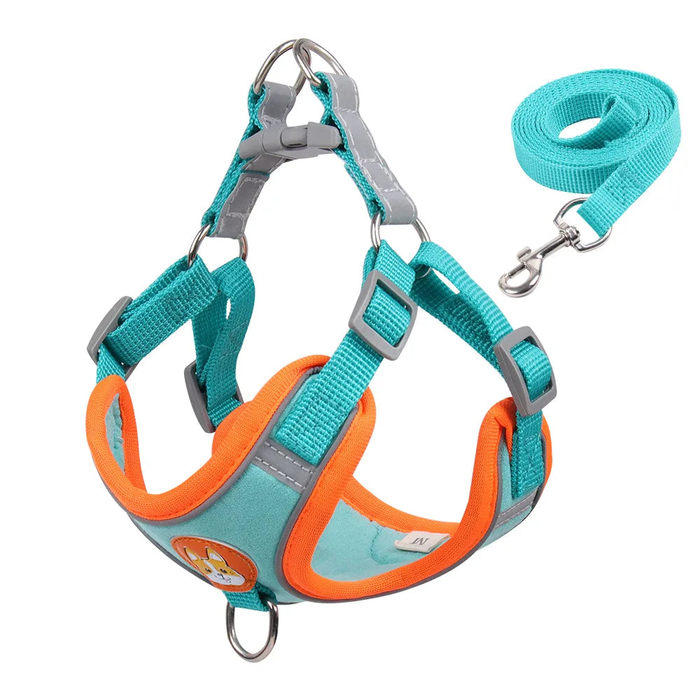 Harnessio