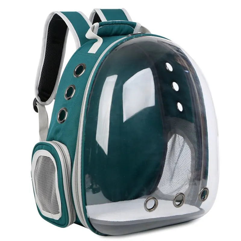 Transparent Backpack