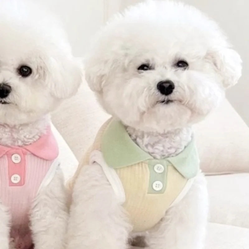 Puppy Vest