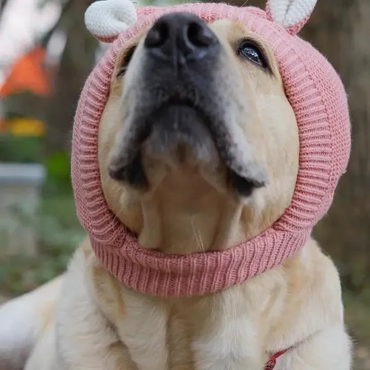 Dog Ear