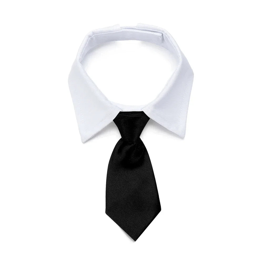 Pet Tie
