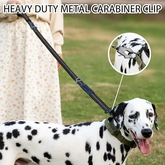 Reflective Shock Leashes