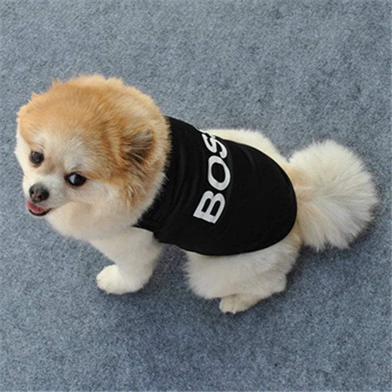 Security shirt