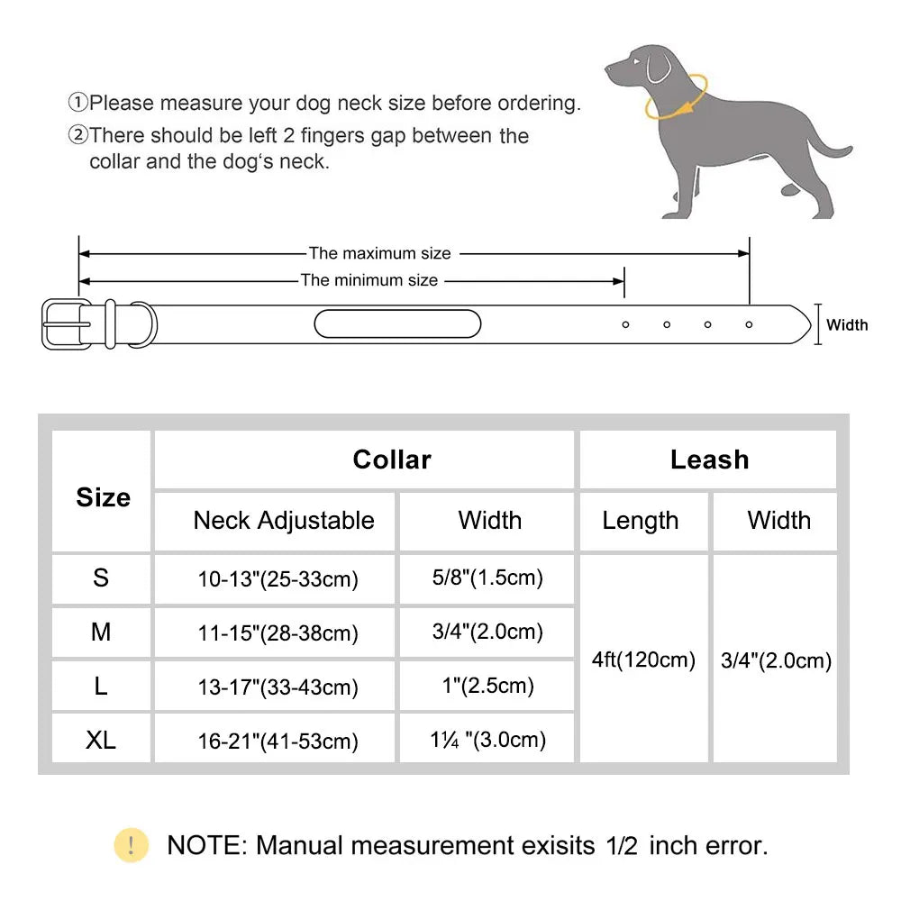 Leather Collar Leash