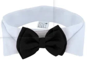 Pet Tie