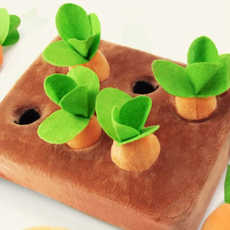 Carrot Pulling Interactive