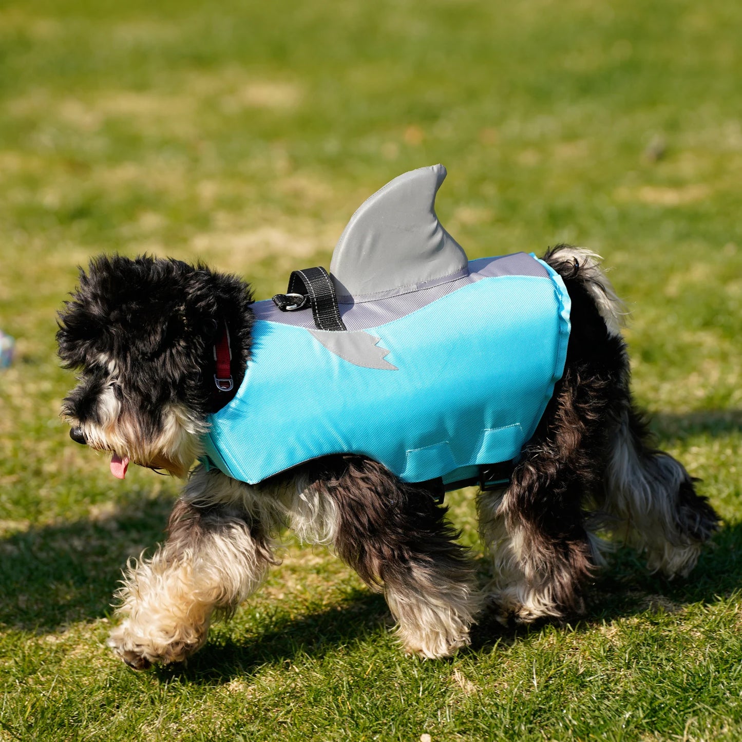 Sharko
