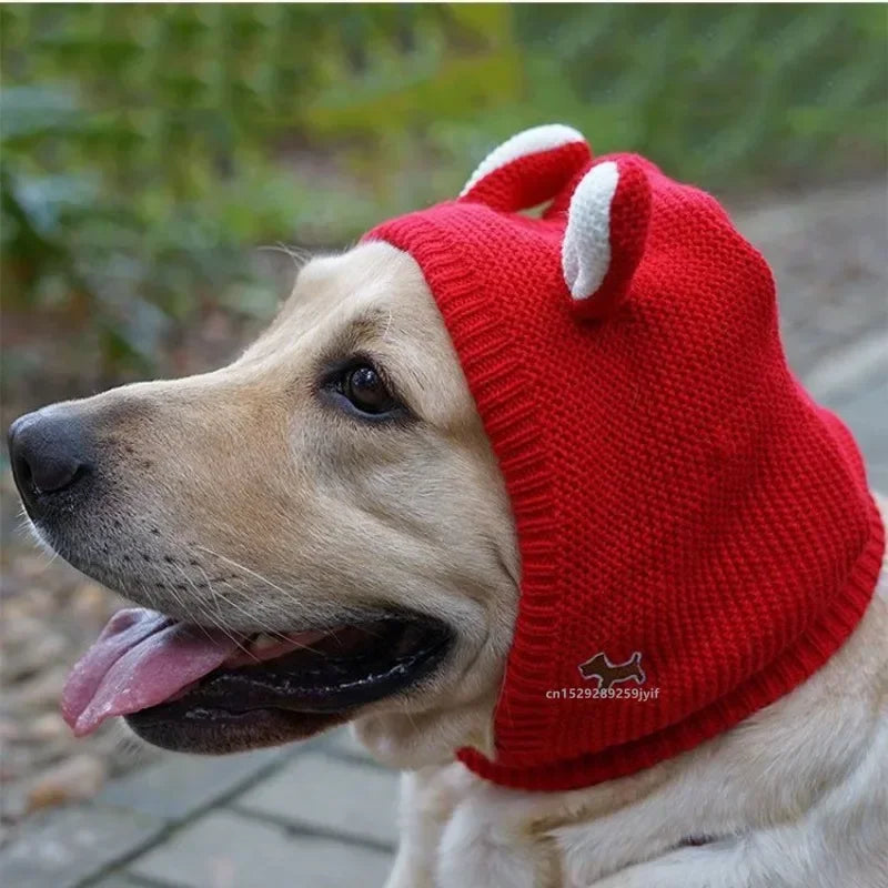 Dog Ear