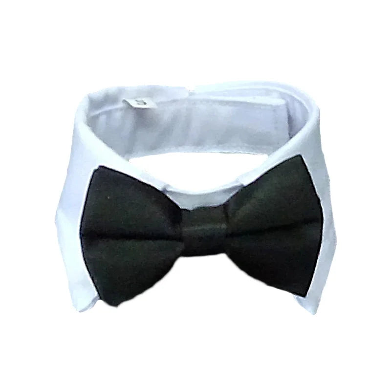 Pet Tie