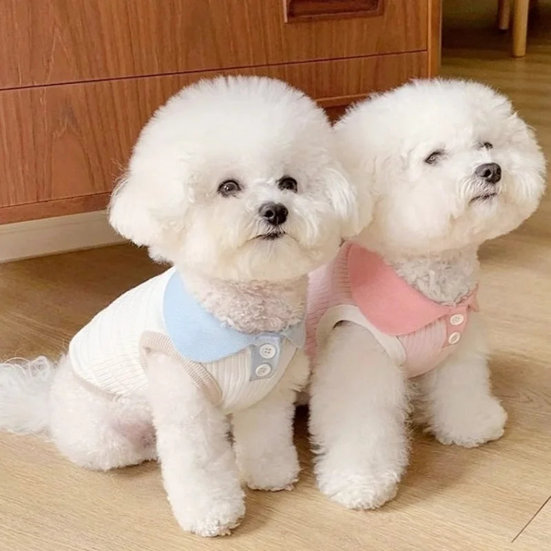 Puppy Vest