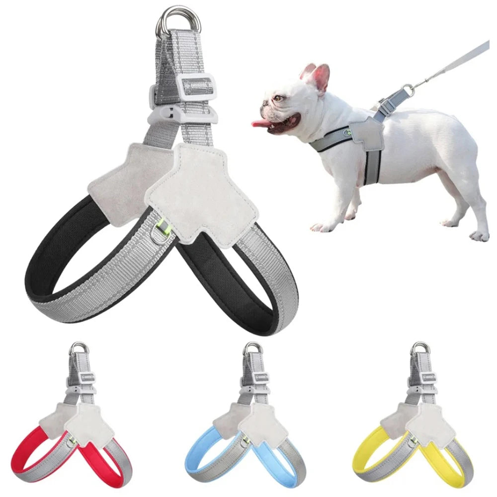 Reflective Harness