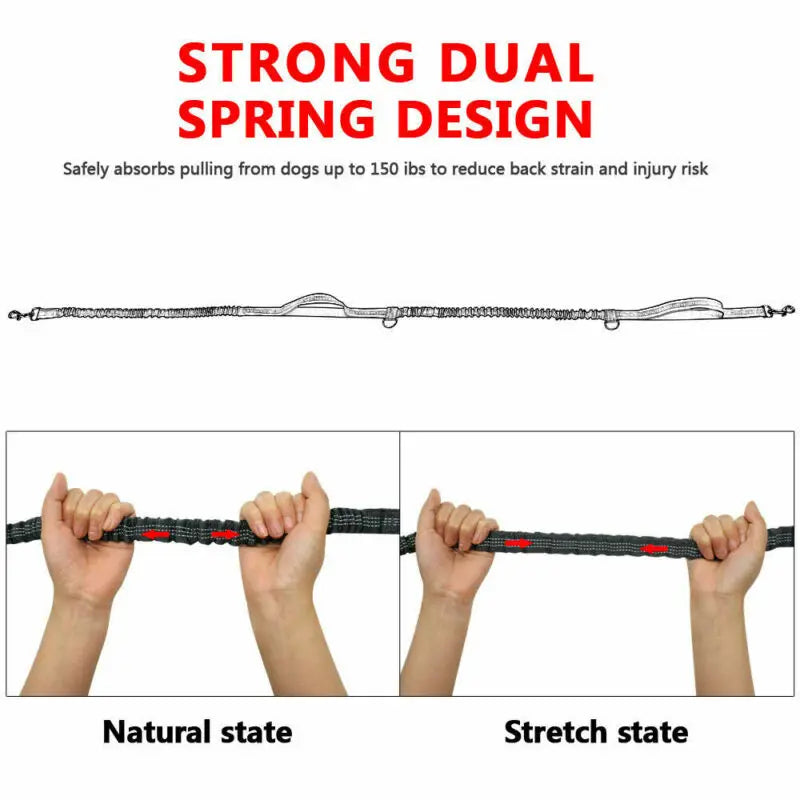 Running Belt