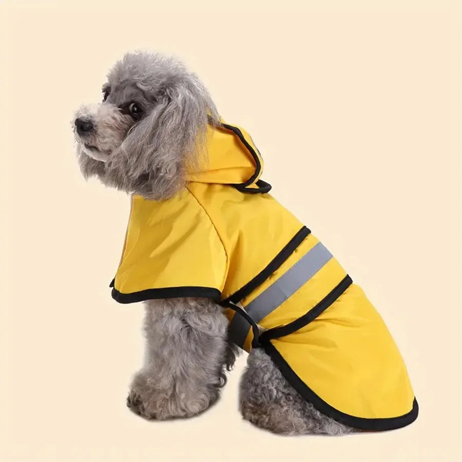 London coat