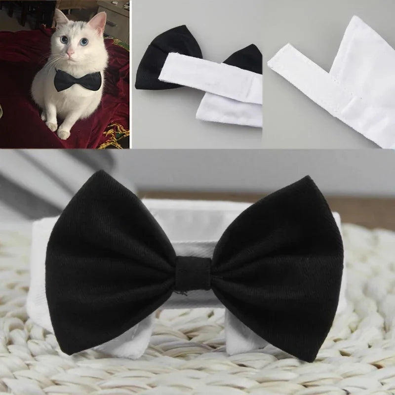 Pet Tie