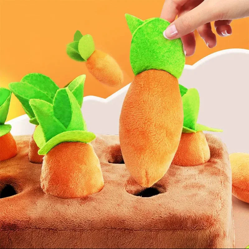 Carrot Pulling Interactive