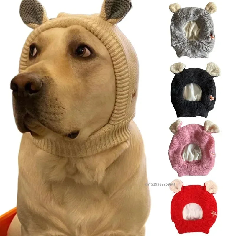 Dog Ear