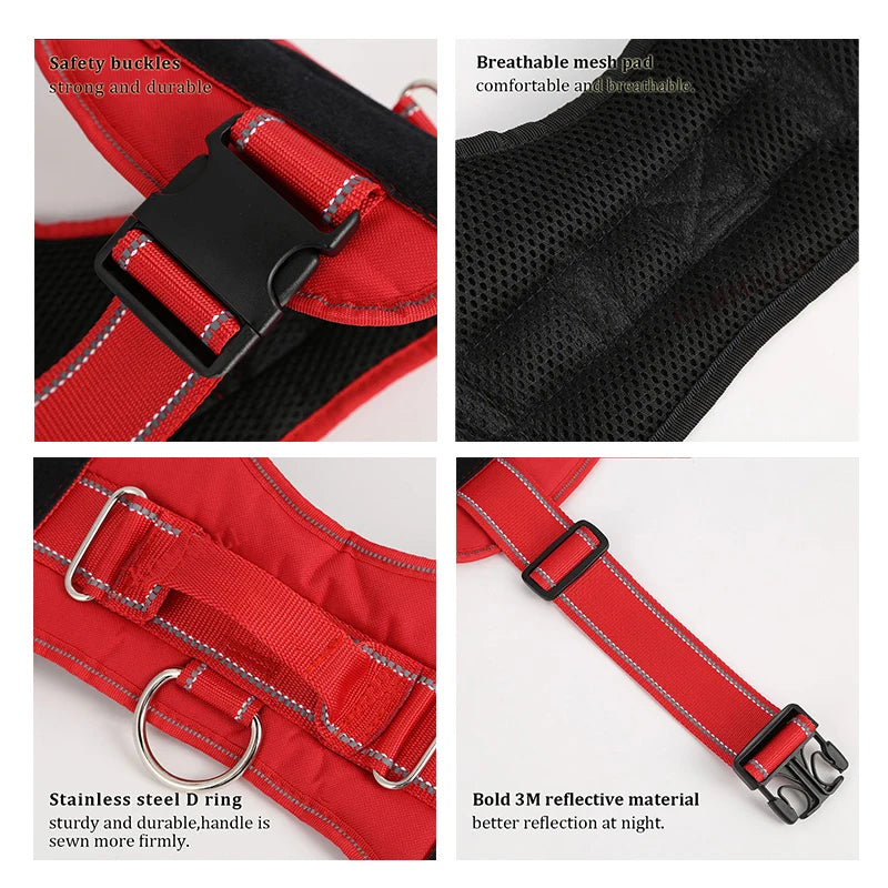 Personalized K9 Harness